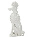 Mauro Ferretti HOND WIT CM 20X26X61 - 120100000