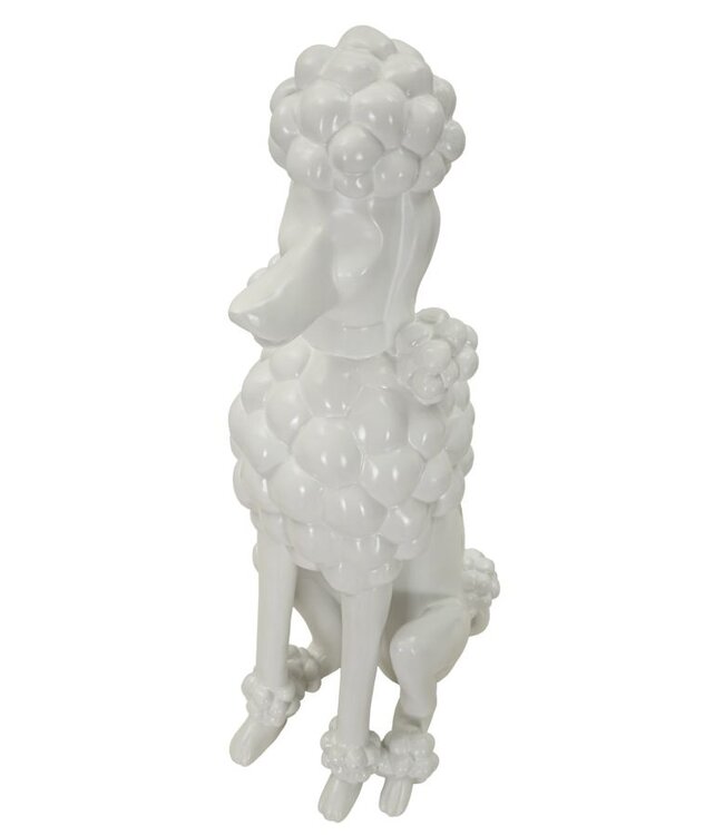 Mauro Ferretti HOND WIT CM 20X26X61 - 120100000