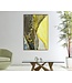 Mauro Ferretti GLAZEN WANDPANEEL MET FRAME SUNNY CM 80X3,5X120