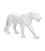 Mauro Ferretti WITTE PANTER CM 70X18X32,5