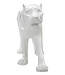 Mauro Ferretti WITTE PANTER CM 70X18X32,5 - 119330000