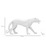 Mauro Ferretti WITTE PANTER CM 70X18X32,5 - 119330000