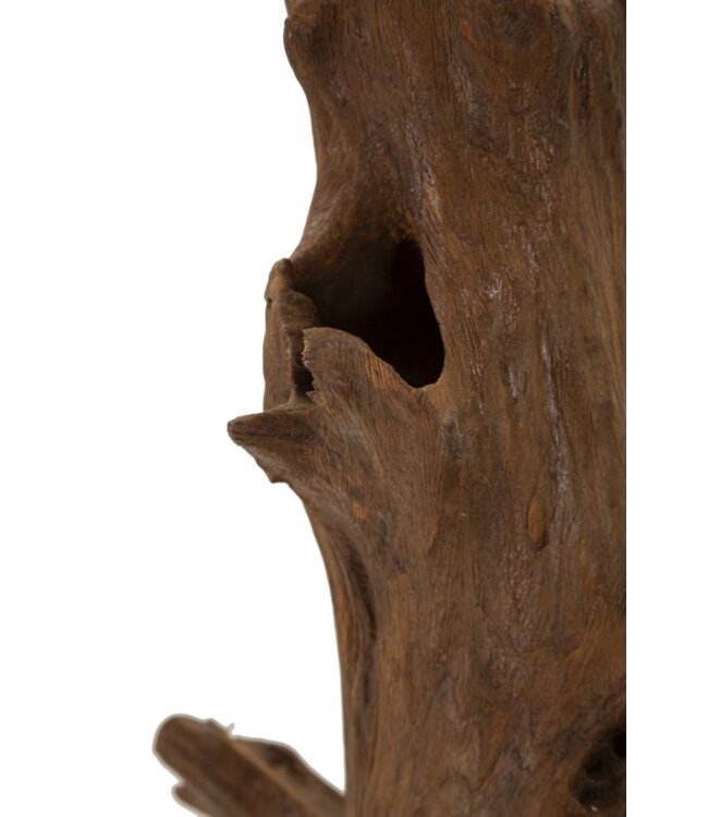 Mauro Ferretti AKAR SCULPTUUR TEAK CM 23X27X64