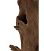 Mauro Ferretti AKAR SCULPTUUR TEAK CM 23X27X64