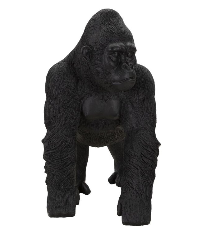 Mauro Ferretti ZWARTE GORILLA CM 35X21,5X37,5