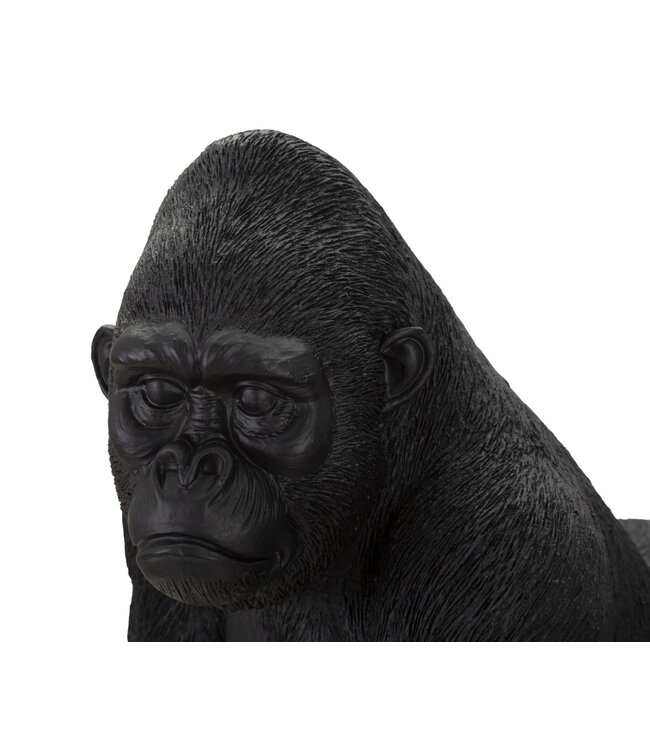 Mauro Ferretti ZWARTE GORILLA CM 35X21,5X37,5