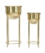 Mauro Ferretti BLOEMENHOUDER GLAM COPPIA CM Ø 27X62-21,5X52