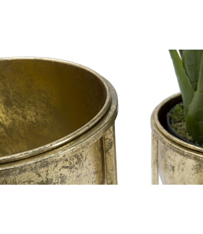 Mauro Ferretti BLOEMENHOUDER GLAM COPPIA CM Ø 27X62-21,5X52