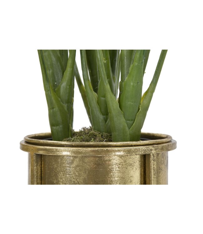 Mauro Ferretti BLOEMENHOUDER GLAM COPPIA CM Ø 27X62-21,5X52