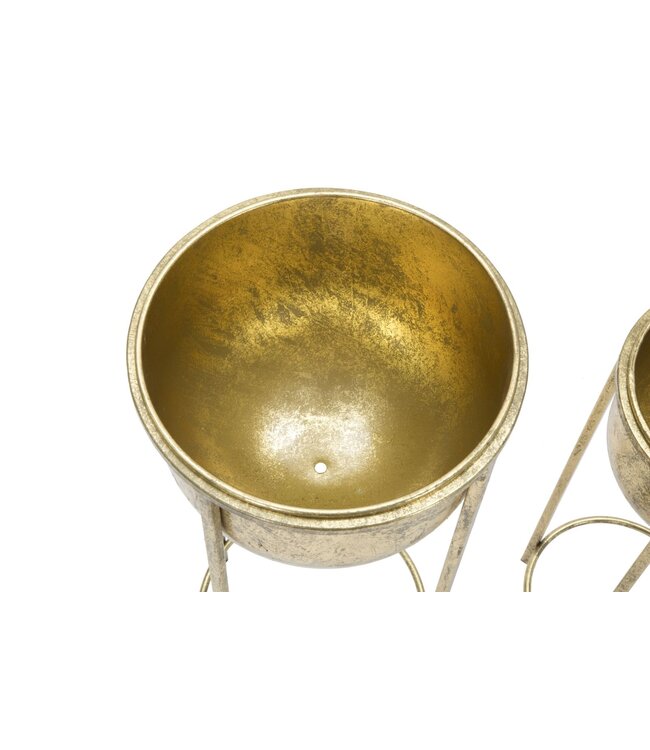 Mauro Ferretti BLOEMENHOUDER GLAM COPPIA CM Ø 27X62-21,5X52