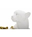 Mauro Ferretti LUIPAARD WIT/GOUD CM 53X21,5X24