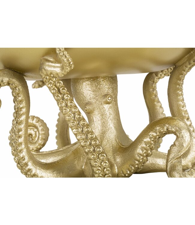 Mauro Ferretti OCTUPUS DIENBLAD CM Ø 30X18