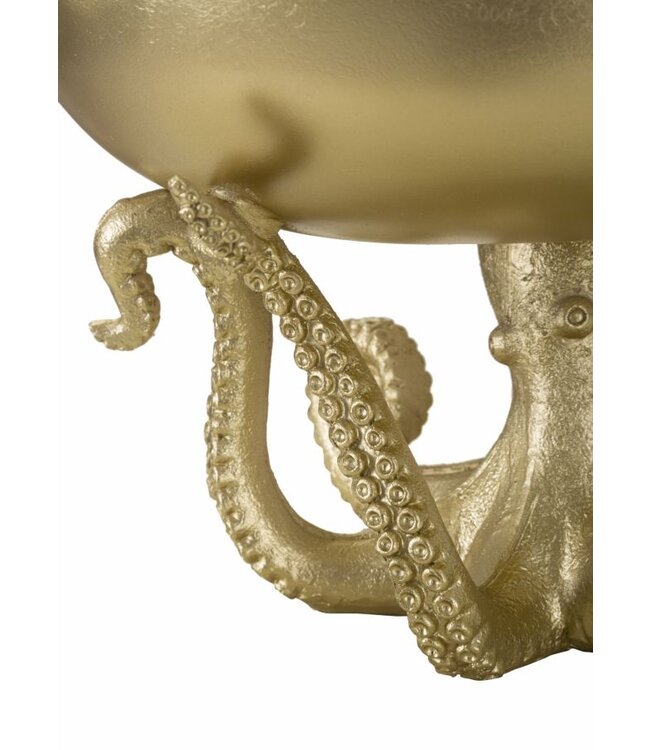 Mauro Ferretti OCTUPUS DIENBLAD CM Ø 30X18