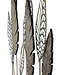 Mauro Ferretti WANDDECORATIE FOGLIE -C- CM 75X2,5X87