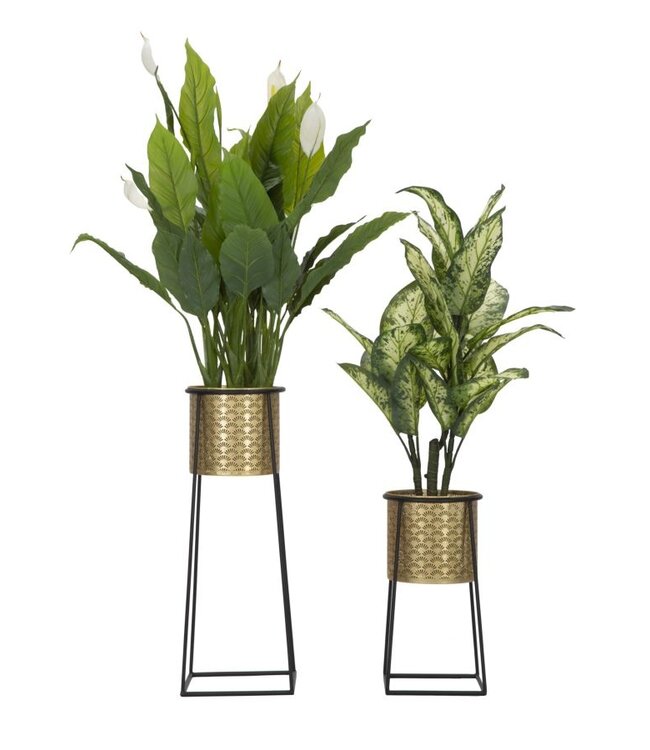 Mauro Ferretti BLOEMENHOUDER KOPPELBEKER CM Ø 26X70-23X45