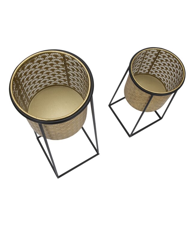 Mauro Ferretti BLOEMENHOUDER KOPPELBEKER CM Ø 26X70-23X45