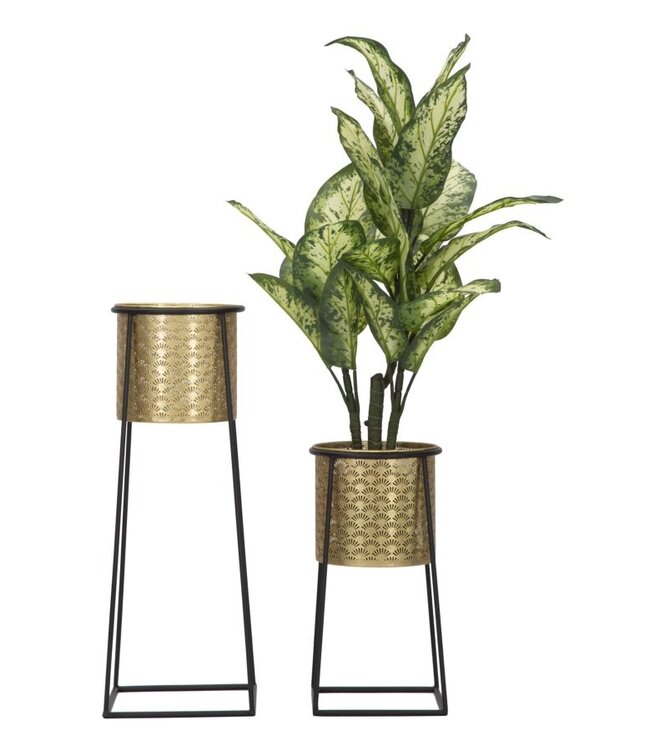 Mauro Ferretti BLOEMENHOUDER KOPPELBEKER CM Ø 26X70-23X45