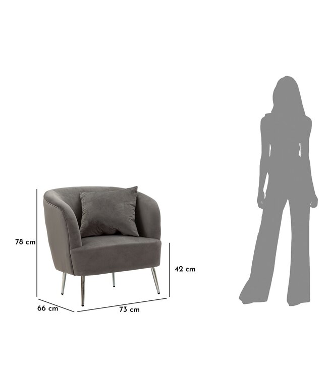 Mauro Ferretti FAUTEUIL ZILVERKLEURIG MET KUSSEN CM 73X66X78