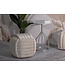 Mauro Ferretti KRUK SOFTY CRÈME CM 45X45X45 - 142852000C