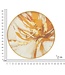 Mauro Ferretti WANDKLOK GLAS TOPLY CM Ø 80X5