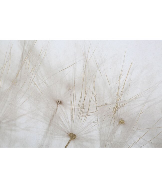 Mauro Ferretti BEDRUKKEN MET VERFBLIK CM 80X3X120