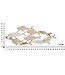 Mauro Ferretti WANDDECORATIE FISHY CM 118X5,7X46,4