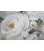 Mauro Ferretti HANDGEMAAKTE MUURSCHILDERING CRÈM BLOEM CM <br />
80X3,7X100