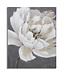 Mauro Ferretti HANDGEMAAKTE MUURSCHILDERING WIT/GOUD BLOEM CM <br />
80X3,7X100
