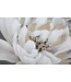 Mauro Ferretti HANDGEMAAKTE MUURSCHILDERING WIT/GOUD BLOEM CM <br />
80X3,7X100