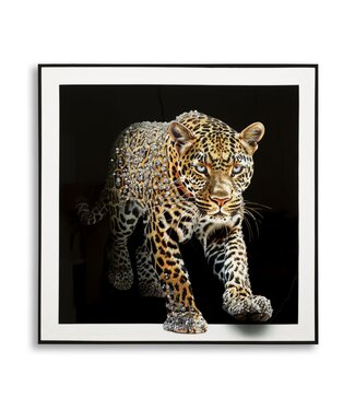 Mauro Ferretti SCHILDERIJ OP DOEK GELAKTE JAGUAR MET FRAME -A- CM 82X4X82