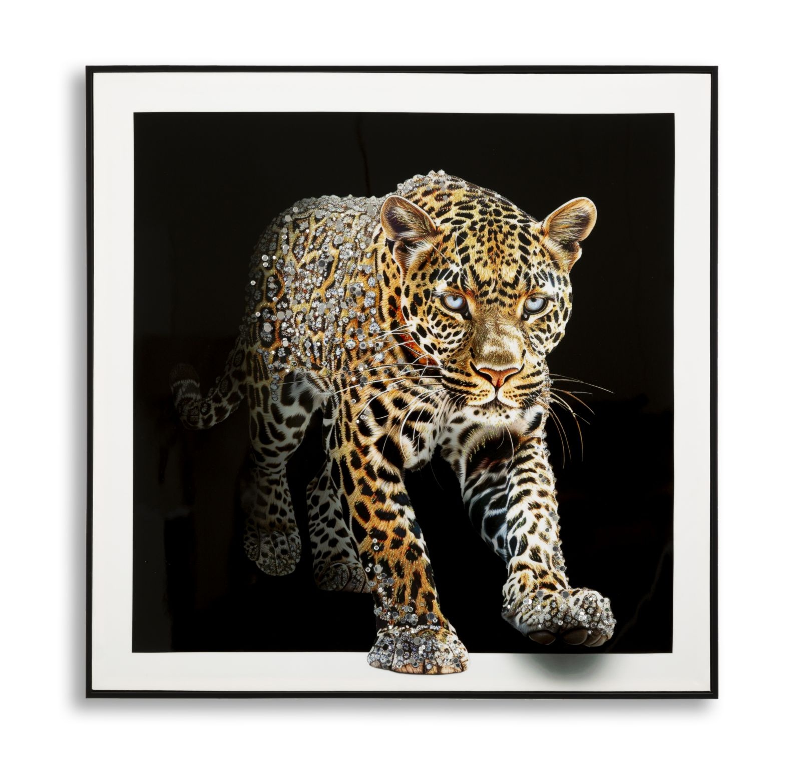 SCHILDERIJ OP DOEK GELAKTE JAGUAR MET FRAME -A- CM 82X4X82 afbeelding