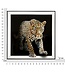 Mauro Ferretti SCHILDERIJ OP DOEK GELAKTE JAGUAR MET FRAME -A- CM 82X4X82