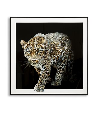 Mauro Ferretti SCHILDERIJ OP DOEK GELAKTE JAGUAR MET LIJST -B- CM 82X4X82