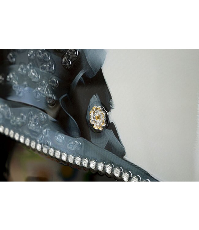 Mauro Ferretti SCHILDERIJ OP DOEK GELAKT DORI MET LIJST -A- CM 62X4X92