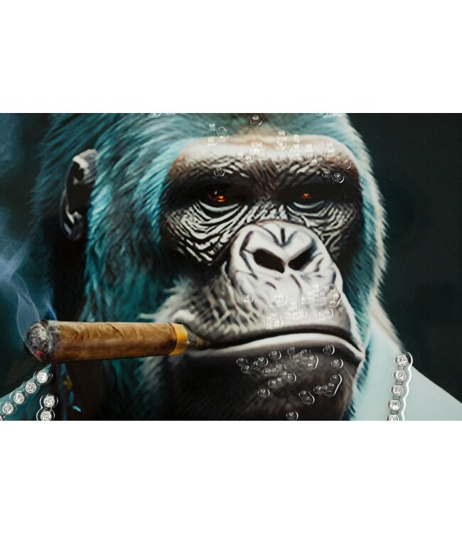 Mauro Ferretti LAQUARED MUUR BROEK MET FRAME KONGY -A- CM 62X4X92