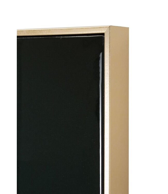 Mauro Ferretti LAQUARED MUUR BROEK MET FRAME KONGY -A- CM 62X4X92