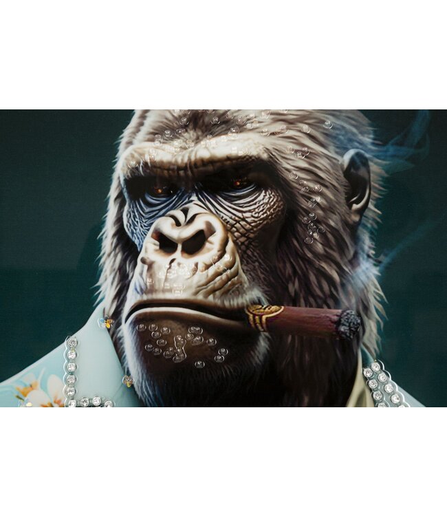 Mauro Ferretti LAQUARED MUUR BROEK MET FRAME KONGY -B- CM 62X4X92