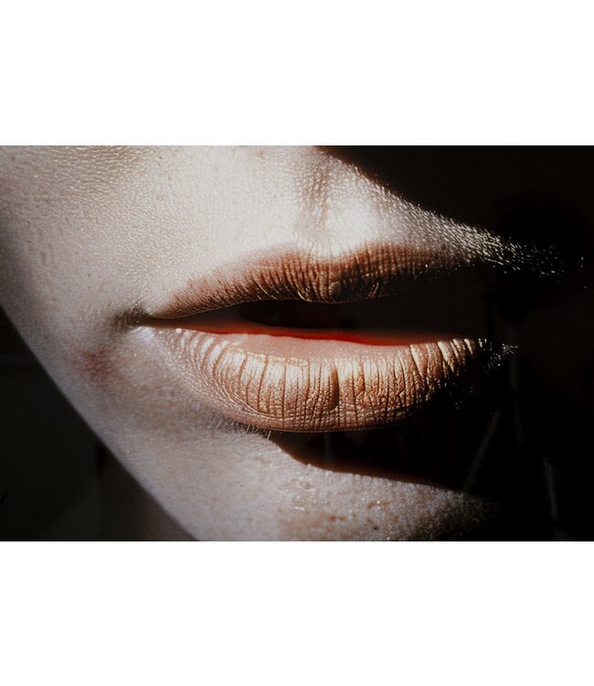 Mauro Ferretti NAIROBI GELAKT CANVAS MET FRAME -B- CM 52X4X102