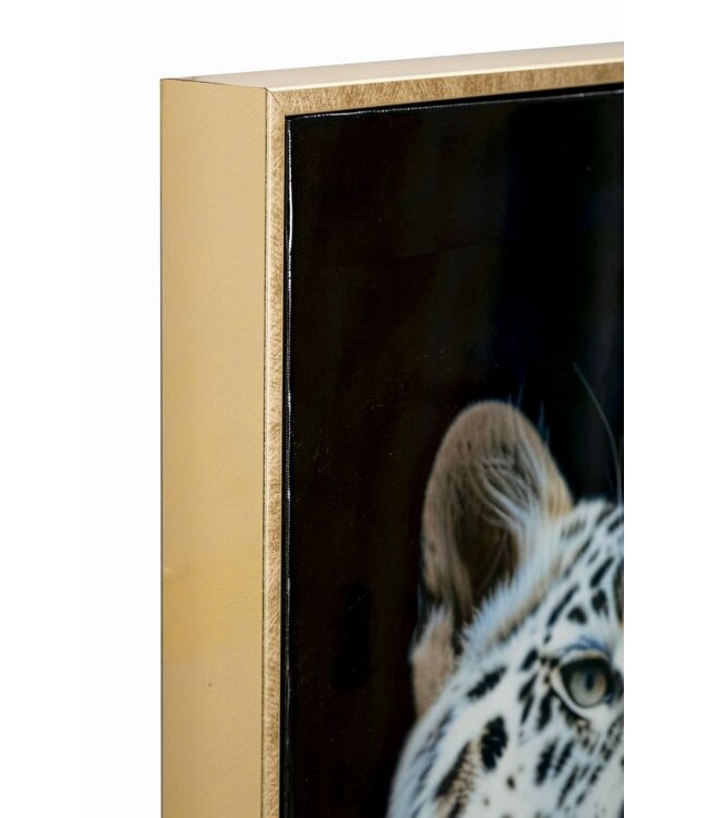 Mauro Ferretti MOIRA GELAKT CANVAS MET FRAME -A- CM 52X4X102