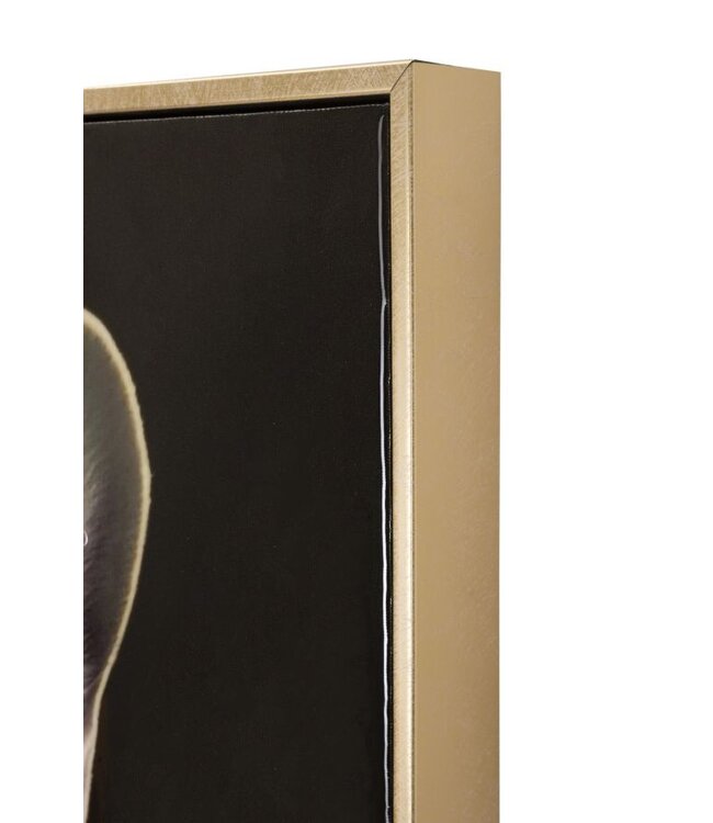 Mauro Ferretti LAQUARED MUUR HIJGEN MET FRAME BULLY C/KROONLIJST CM 62X4X82