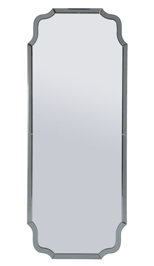 WANDSPIEGEL ISTANBUL GRIJS CM 60X2X150 ( BINNENSPIEGEL AFMETING CM 54X143,5) afbeelding
