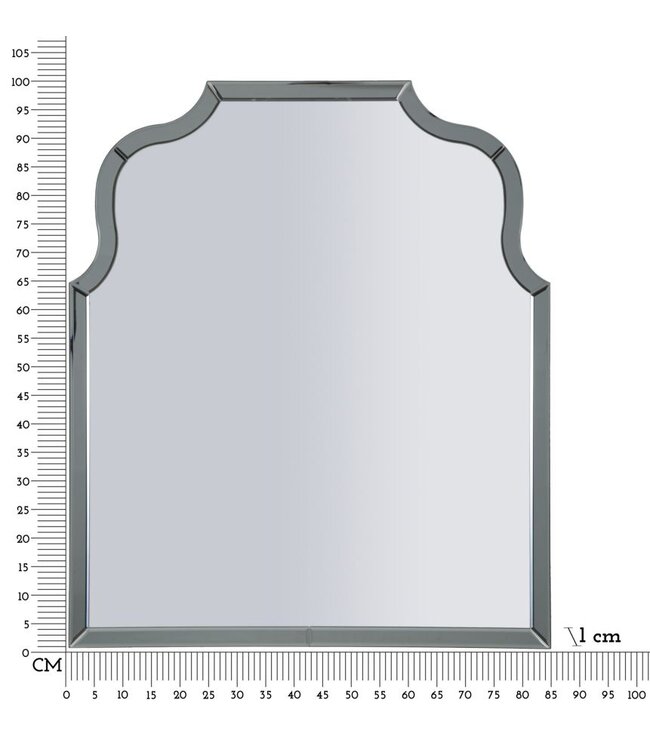 Mauro Ferretti ANKARA WANDSPIEGEL GRIJS CM 85X1X100 ( BINNENSPIEGEL AFMETING CM 78X93)