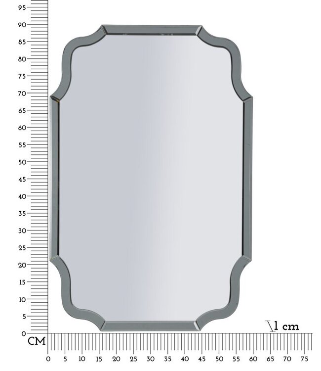 Mauro Ferretti WANDSPIEGEL ISTANBUL GRIJS CM 60X1X90 ( BINNENSPIEGEL AFMETING CM 54X84,5)