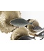 Mauro Ferretti WANDSPIEGEL VIS CM 88,9X7,6X65,4 - 661020000
