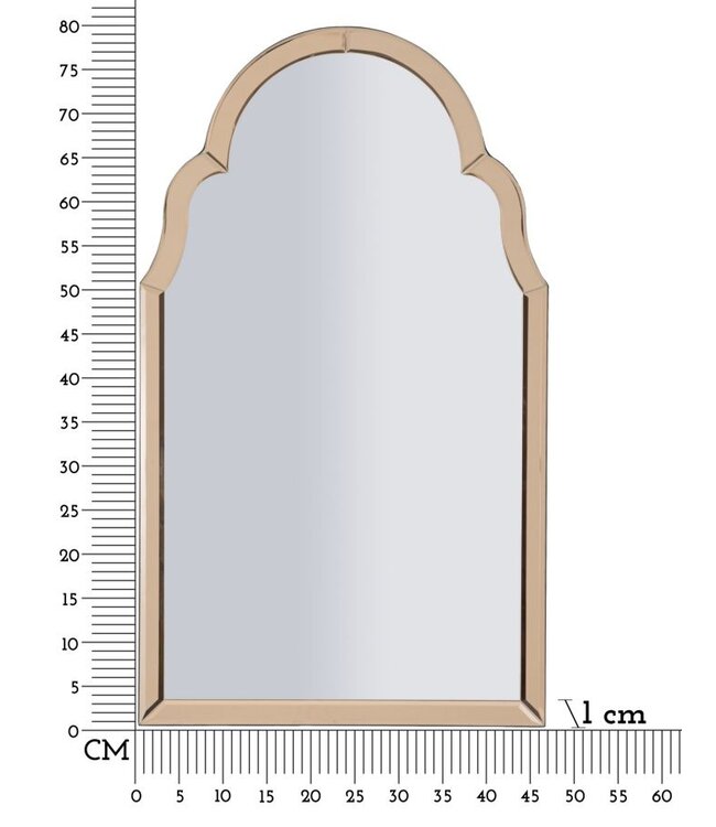 Mauro Ferretti TANGER WANDSPIEGEL ROZE CM 47X1X80 ( BINNENSPIEGEL AFMETING 41X74)