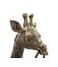 Mauro Ferretti TAFELLAMP GIRAFFE CM 40X22X80 - 1711670001