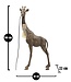 Mauro Ferretti TAFELLAMP GIRAFFE CM 40X22X80 - 1711670001