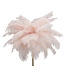 Mauro Ferretti TAFELLAMP PALM ROZE CM Ø 40X55