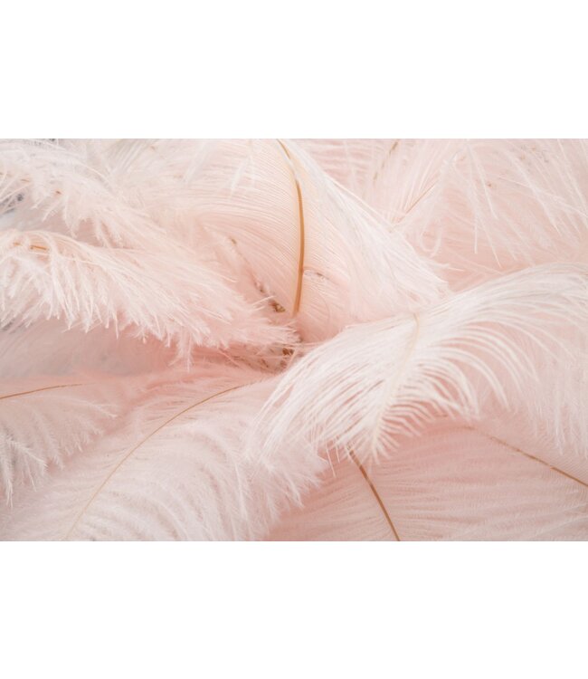 Mauro Ferretti TAFELLAMP PALM ROZE CM Ø 40X55