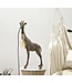 Mauro Ferretti TAFELLAMP GIRAFFECM 28X16X60 - 1711670003